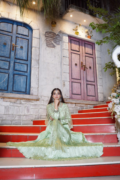 Embrace the enchantment in Pista Majestic Long Tail Cape with flarry maxi